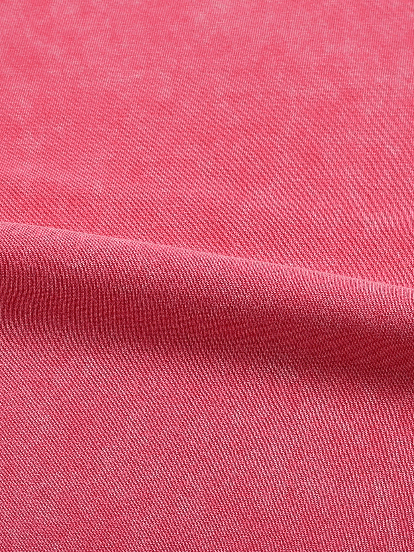 Snow Washed Frayed Edge T-Shirt